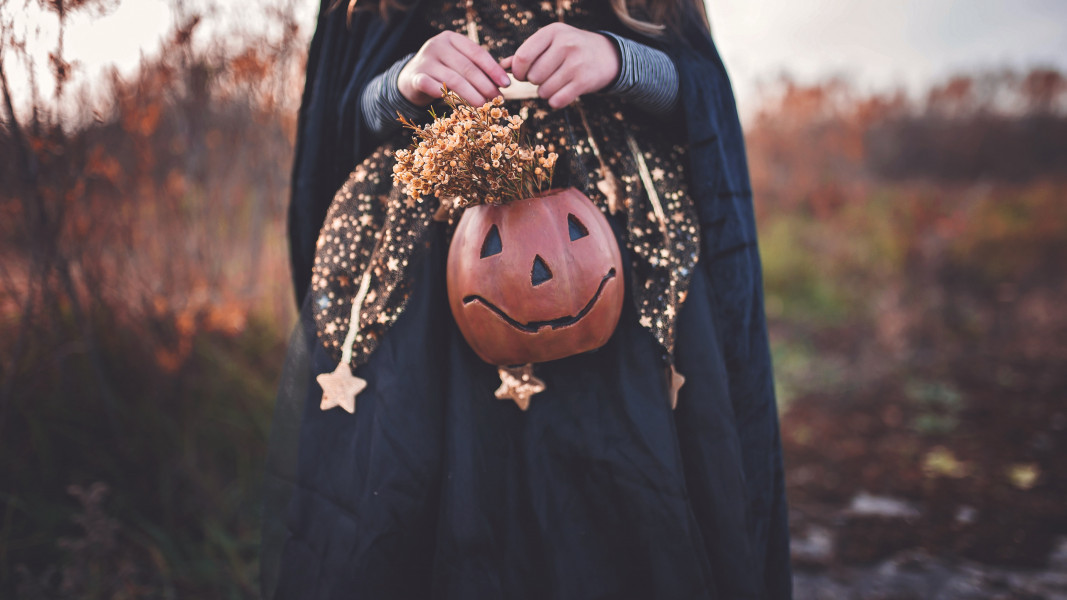 Halloween Costume Image 