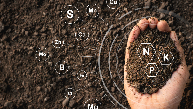 Soil Elements Image 