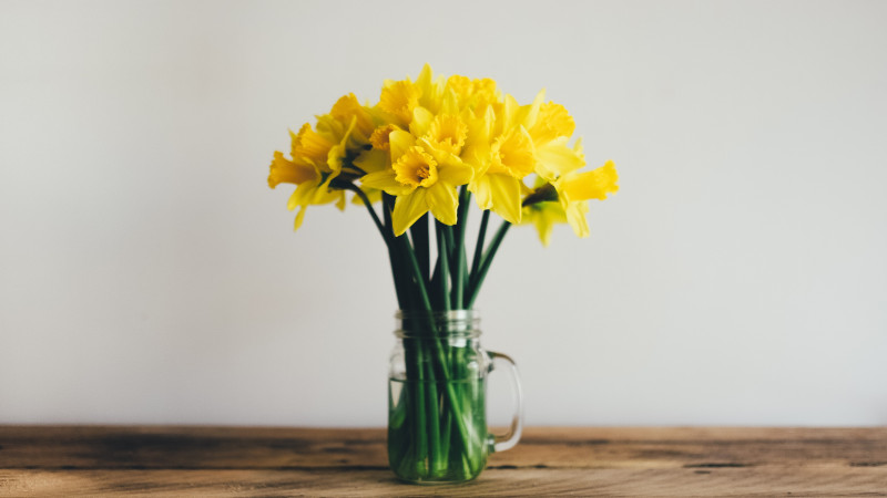 Daffodils Bouquet in a Vase 