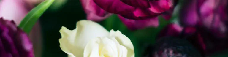 Cover Photo