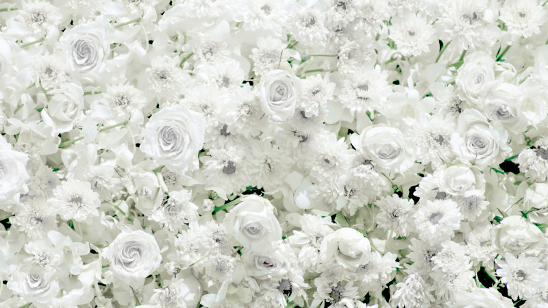 Funeral Flowers by Type  head photo