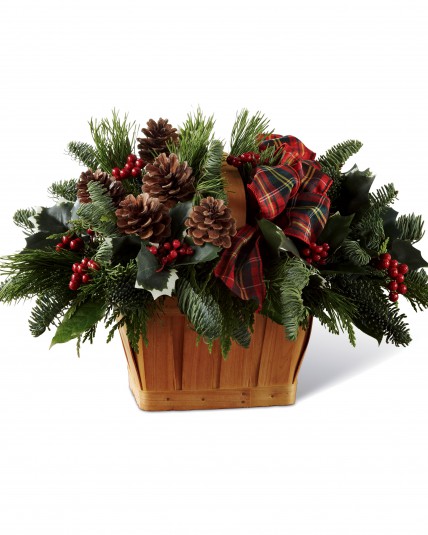 Say Merry Christmas With Flowers | Today Flower Delivery