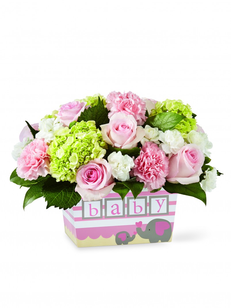 New Baby Flowers Same Day Delivery | Today Flower Delivery