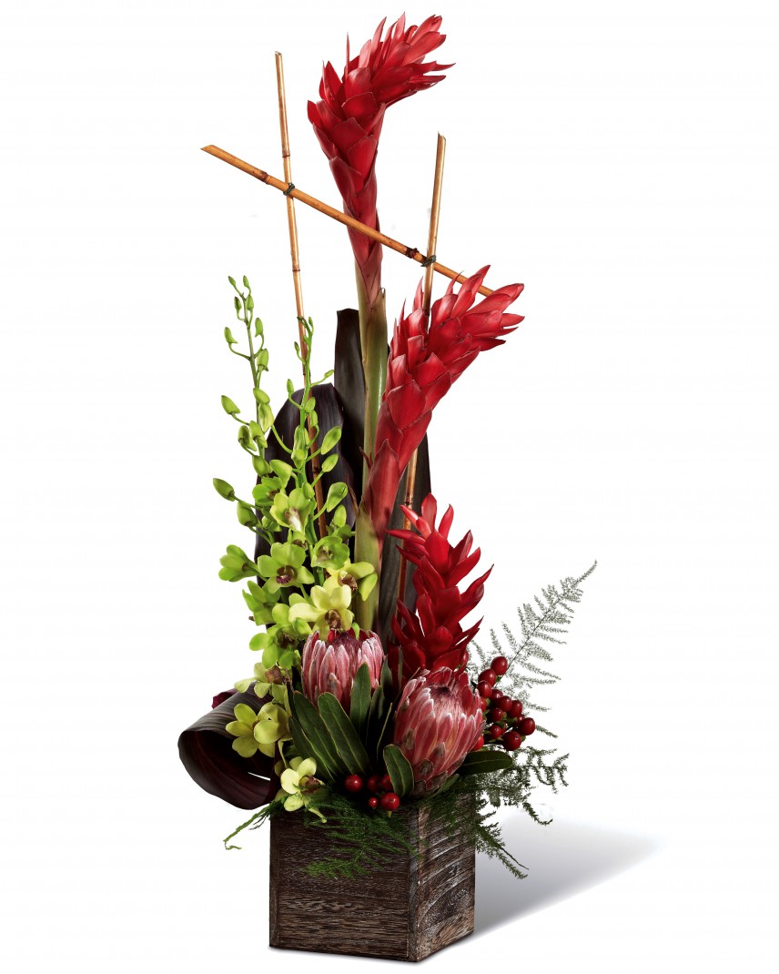 Buy Tropical Flowers Low Prices Today Flower Delivery