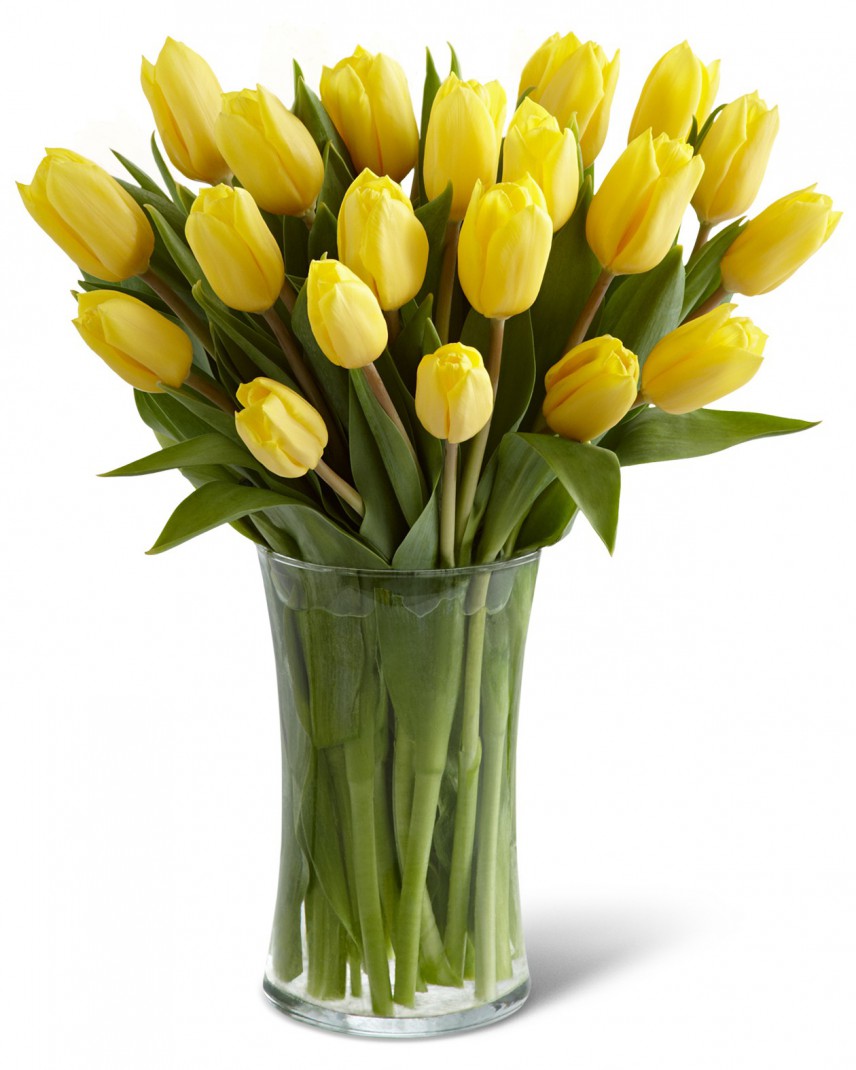 15 Yellow Tulips Cheap Tulips Today Flower Delivery