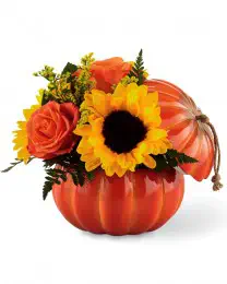 Harvest Traditions Pumpkin
