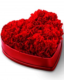 The Heartfelt Carnation Box