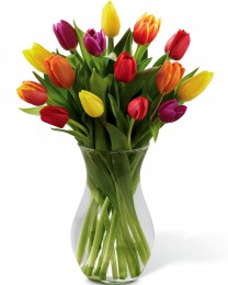 Valentine's Tulip Arrangements