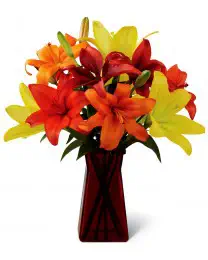 Happy Thoughts Bouquet