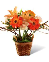 Bright Day Arrangement