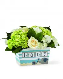 The Darling Baby Boy Bouquet
