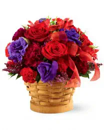 The Basket of Dreams