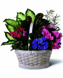 The Peaceful Garden Planter