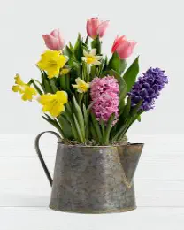 Mother's Day Bulb Garden