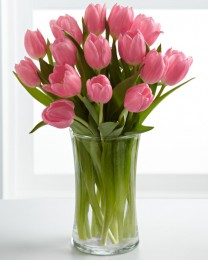 Pink Prelude Tulip Bouquet 