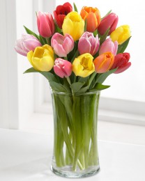 Rush of Color Assorted Tulip Bouquet