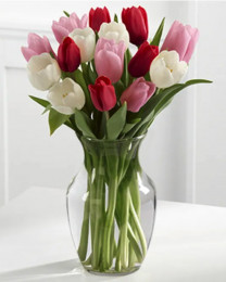Here in My Heart Tulip Bouquet - 1 bunch